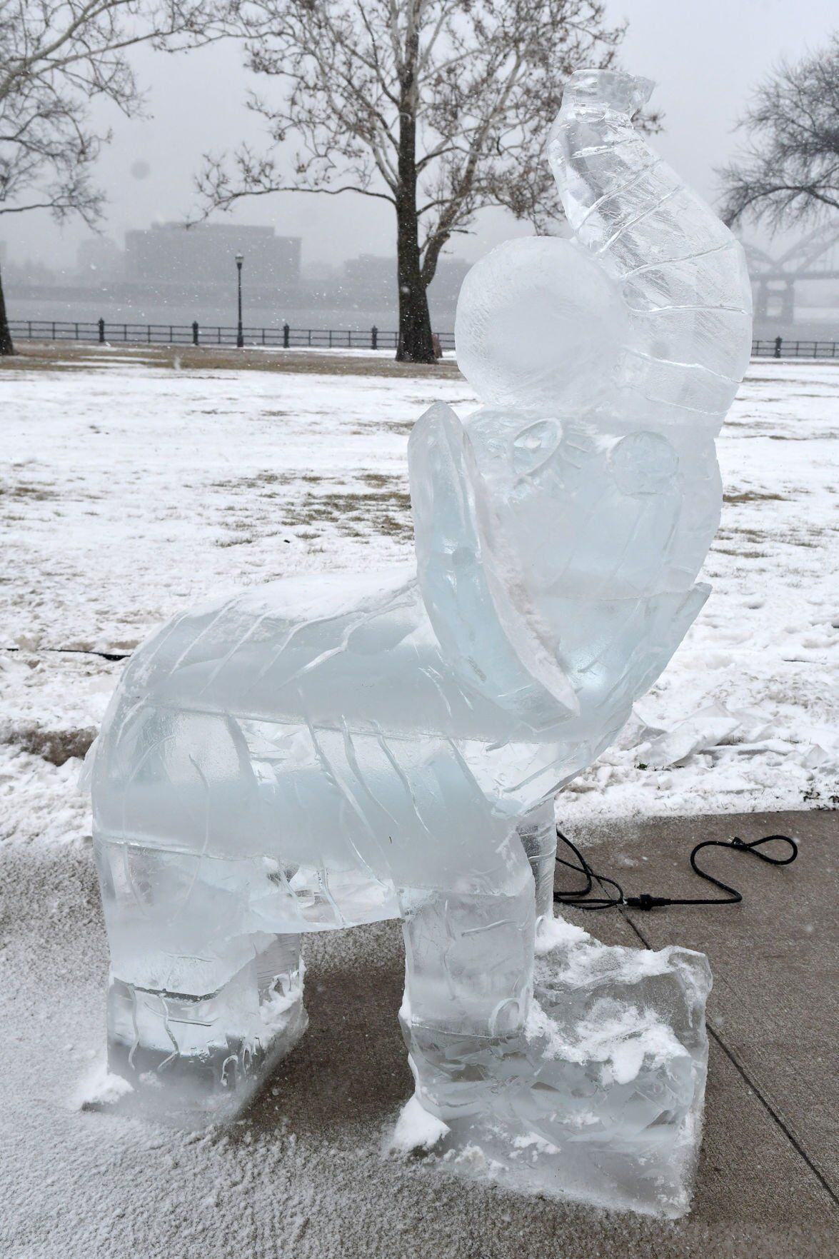 011422-qc-nws-icestravaganza-099